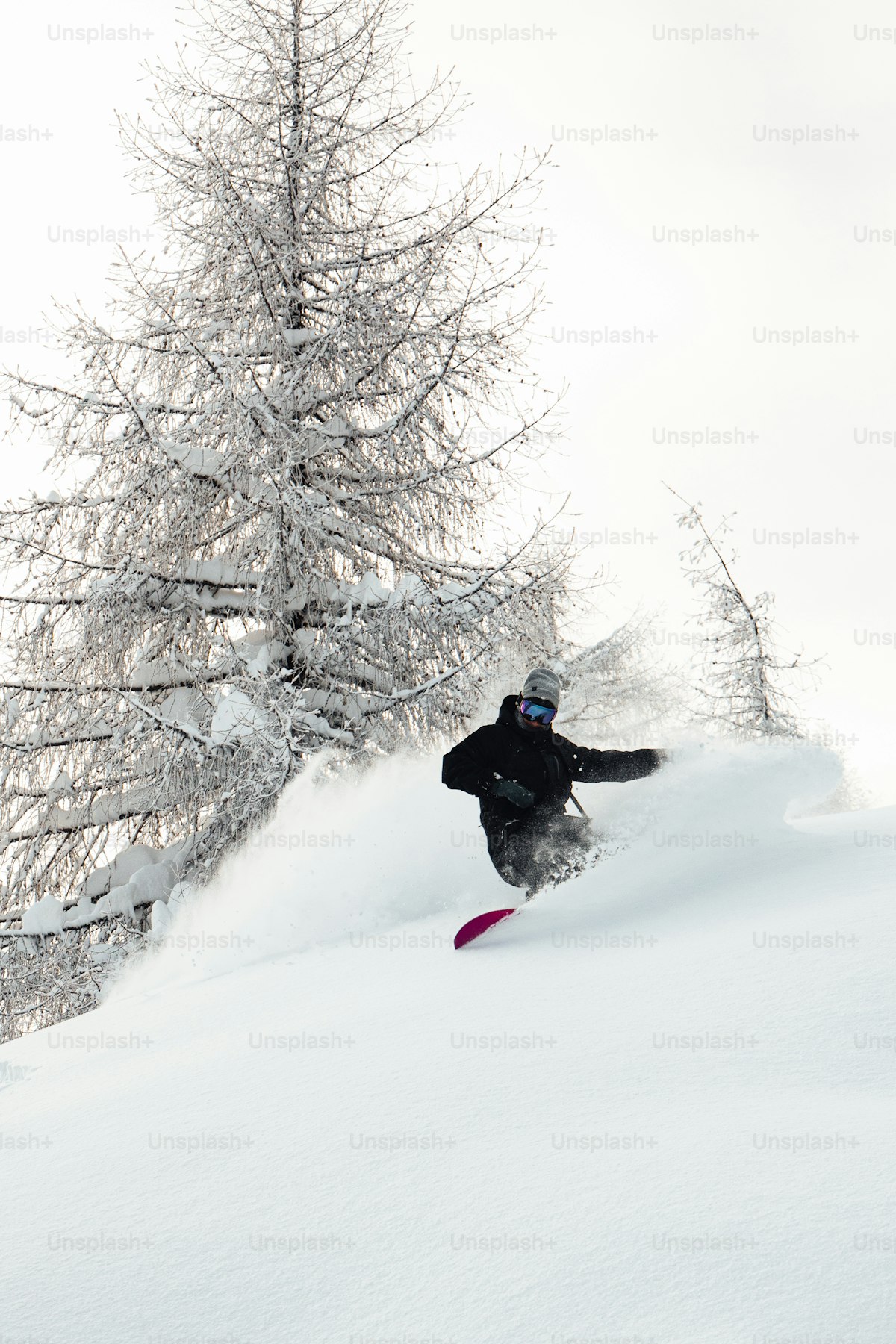 Snowboarding